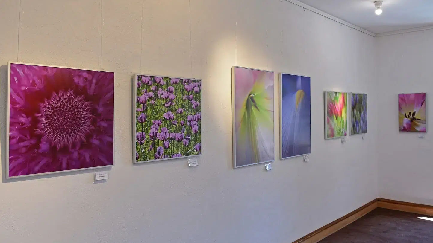 Impressions de : Brigitte Deus-Neumann et Barbara Birkes "Hingucker" (les accrocheurs)