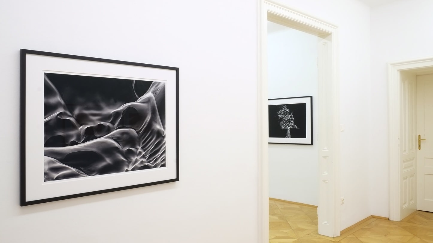 Roland Blum - Poetry of Silence